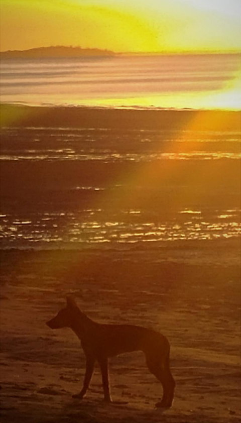 3-Day Fraser Island Resort Package - Holiday Adelaide 3