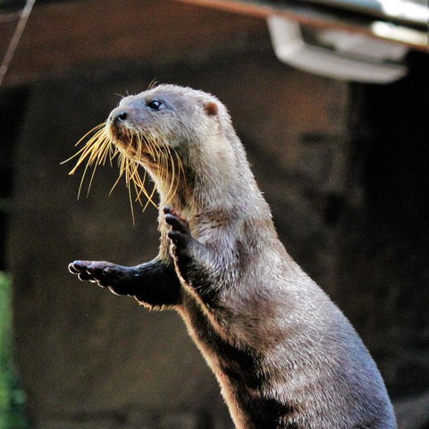 3-Day Fraser Island Resort Package - Holiday Adelaide 4