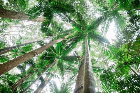 All-Inclusive 2-Day Fraser Island Tour - Holiday Adelaide 8