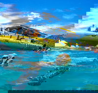 Ocean Rafting Tour to Whitehaven Beach Hill Inlet Lookout  Top Snorkel Spots