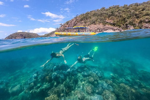 Ocean Rafting Tour To Whitehaven Beach, Hill Inlet Lookout & Top Snorkel Spots - Holiday Adelaide 16