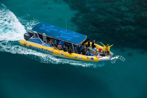 Ocean Safari Great Barrier Reef Experience In Cape Tribulation - Holiday Adelaide 1
