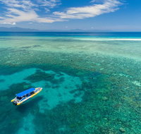 Ocean Safari Great Barrier Reef Experience in Cape Tribulation