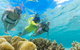 Ocean Safari Great Barrier Reef Experience In Cape Tribulation - thumb 4