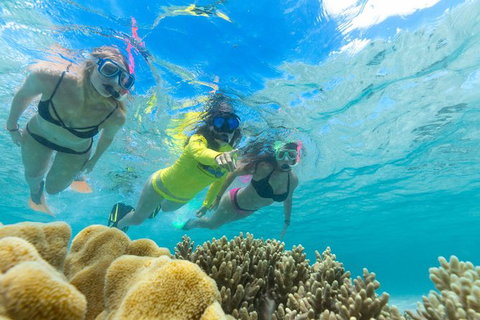 Ocean Safari Great Barrier Reef Experience In Cape Tribulation - Holiday Adelaide 4