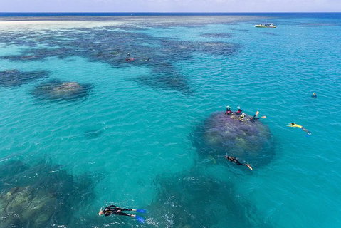 Ocean Safari Great Barrier Reef Experience In Cape Tribulation - Holiday Adelaide 12