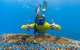 Ocean Safari Great Barrier Reef Experience In Cape Tribulation - thumb 5