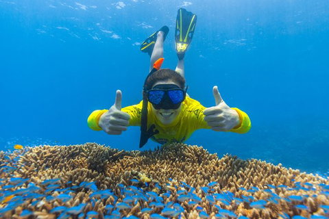 Ocean Safari Great Barrier Reef Experience In Cape Tribulation - Holiday Adelaide 5