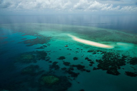 Ocean Safari Great Barrier Reef Experience In Cape Tribulation - Holiday Adelaide 16