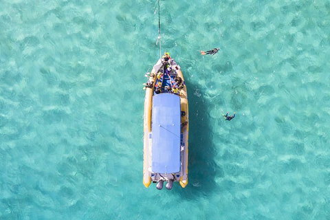 Ocean Safari Great Barrier Reef Experience In Cape Tribulation - Holiday Adelaide 17