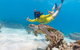 Ocean Safari Great Barrier Reef Experience In Cape Tribulation - thumb 13