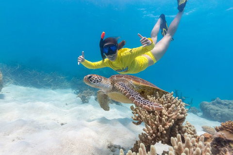 Ocean Safari Great Barrier Reef Experience In Cape Tribulation - Holiday Adelaide 13
