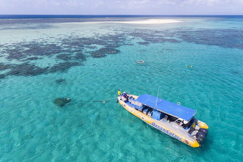 Ocean Safari Great Barrier Reef Experience In Cape Tribulation - Holiday Adelaide 11