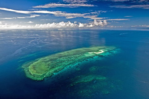 Ocean Safari Great Barrier Reef Experience In Cape Tribulation - Holiday Adelaide 15