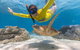 Ocean Safari Great Barrier Reef Experience In Cape Tribulation - thumb 2