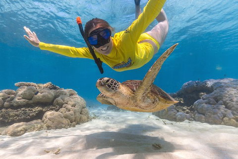 Ocean Safari Great Barrier Reef Experience In Cape Tribulation - Holiday Adelaide 2