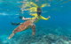 Ocean Safari Great Barrier Reef Experience In Cape Tribulation - thumb 14