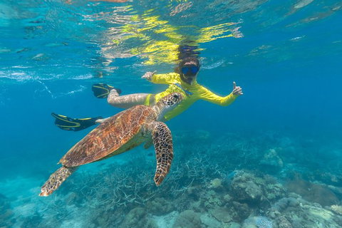 Ocean Safari Great Barrier Reef Experience In Cape Tribulation - Holiday Adelaide 14