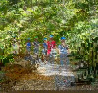 Whitsunday Segway Rainforest Discovery Tour