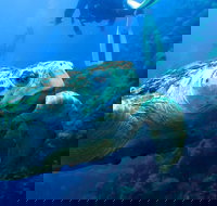 Scuba Dive the S.S. Yongala Wreck on the Great Barrier Reef. - Holiday Adelaide