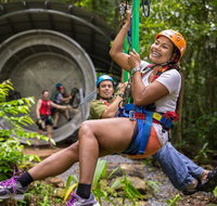 Cape Tribulation Jungle Surfing Canopy Tour