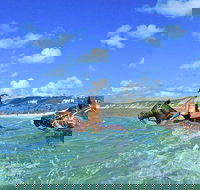 Horse Swimming Ride from Rainbow Beach
