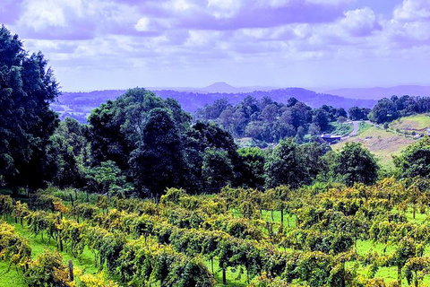 Queensland Food Tour: Farm-to-Table Indulgence - Holiday Adelaide 6