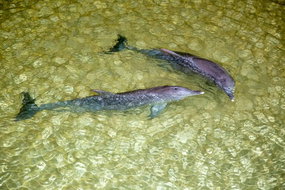 Book Brisbane QLD Attractions Holiday Adelaide Holiday Adelaide