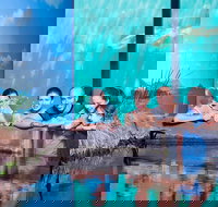 Reef HQ Great Barrier Reef Aquarium General Entry Ticket - Holiday Adelaide