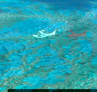 Scenic Flight - Great Barrier Reef Heart Reef Whitehaven Beach  Hill Inlet - Holiday Adelaide