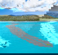 Whitsundays Jet Ski Tour - Holiday Adelaide