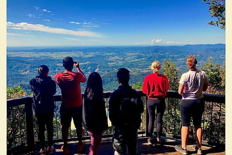 Springbrook Full Day Tour - Holiday Adelaide 0