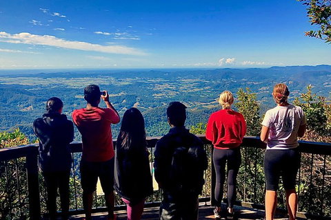 Springbrook Full Day Tour - Holiday Adelaide 2