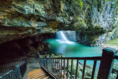 Springbrook Full Day Tour - Holiday Adelaide 12