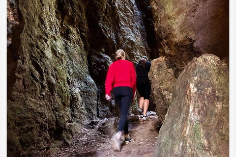 Springbrook Full Day Tour - Holiday Adelaide 7