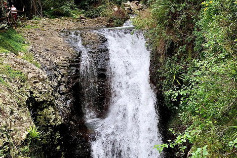 Springbrook Full Day Tour - Holiday Adelaide 4