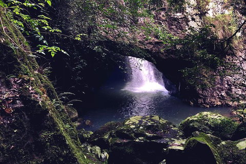 Springbrook Full Day Tour - Holiday Adelaide 16