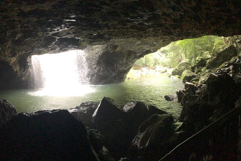 Springbrook Full Day Tour - Holiday Adelaide 9