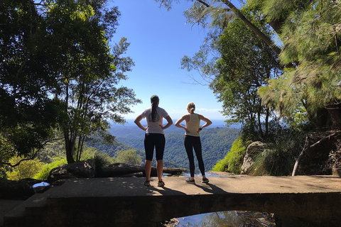 Springbrook Full Day Tour - Holiday Adelaide 15