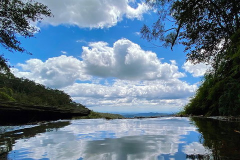 Springbrook Full Day Tour - Holiday Adelaide 6