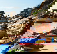 Orpheus Island Day Trip by Helicopter from Townsville - Holiday Adelaide