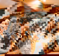 Behind the Scenes Tour and Wine Tasting Experience at Sirromet Winery including Cheese Platter