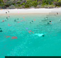 Stray Australia Brisbane to Cairns - Freestyle Travel Pass