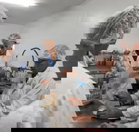 Camel Farm Lab Experience