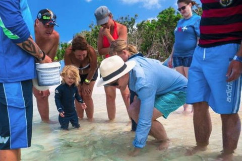 Whitehaven Beach And Hill Inlet Chill And Grill - Holiday Adelaide 1