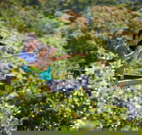 Conway National Park Coral Beach Walk including Shute Harbour from Airlie Beach - Holiday Adelaide