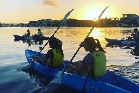 Surfers Paradise Sunset Kayak Tour - Holiday Adelaide 8