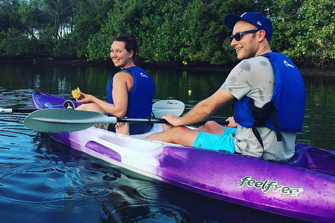 Surfers Paradise Sunset Kayak Tour - Holiday Adelaide 10