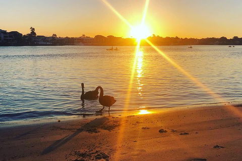 Surfers Paradise Sunset Kayak Tour - Holiday Adelaide 9