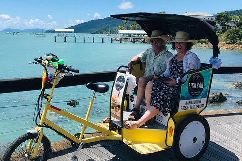 Private Airlie Beach Tuk-Tuk Tours - Holiday Adelaide 21